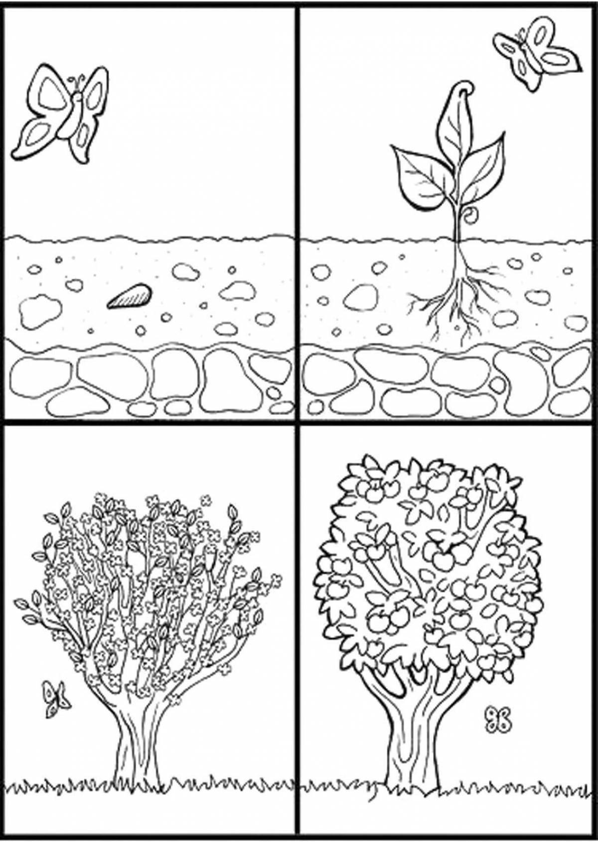 Vivacious coloring page seasons tree