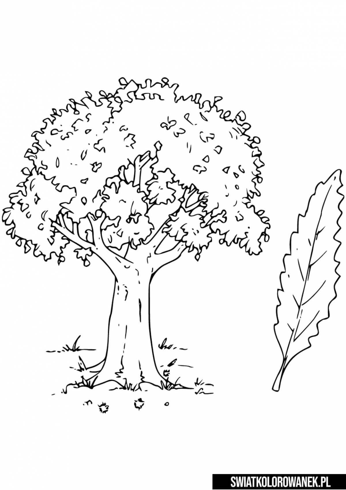 Яркое дерево раскраски для детей 4-5 лет