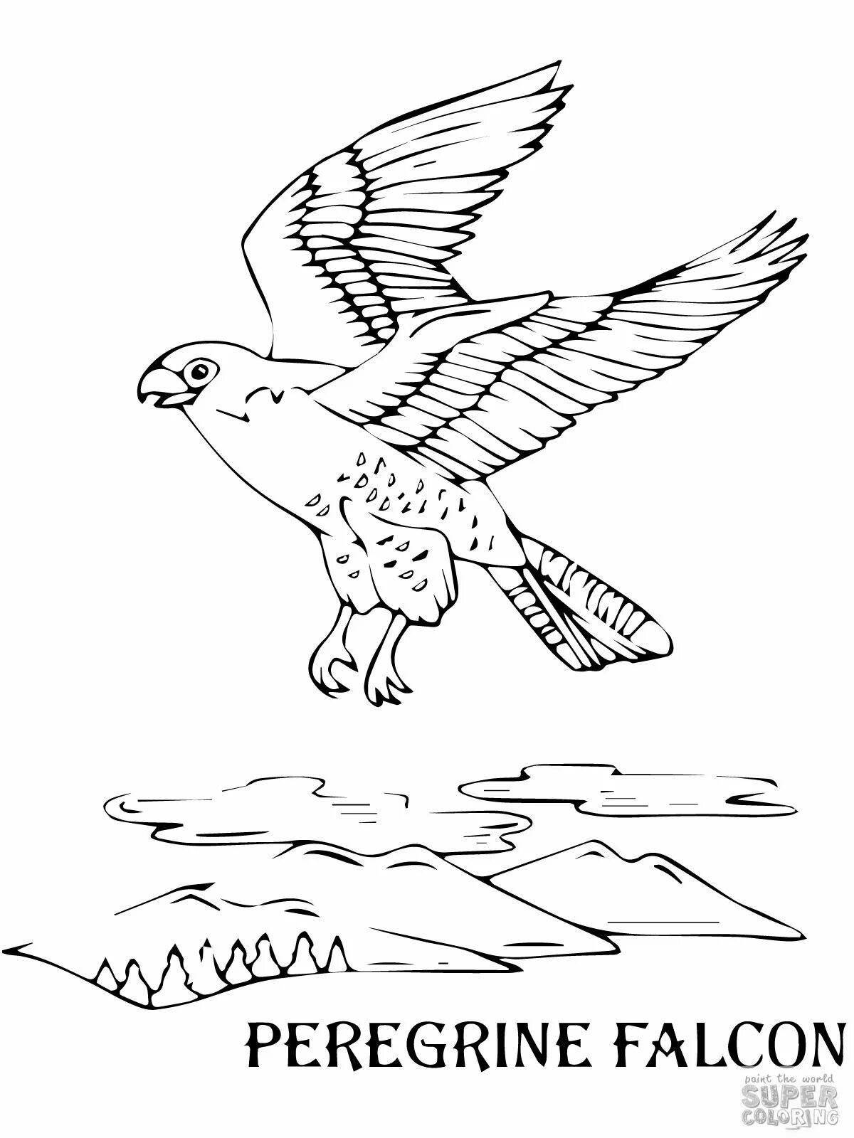 Раскраска сияющая птица-сапсан