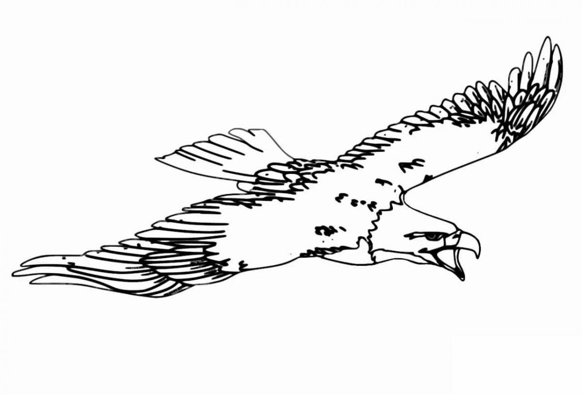 Раскраска впечатляющая птица-сапсан