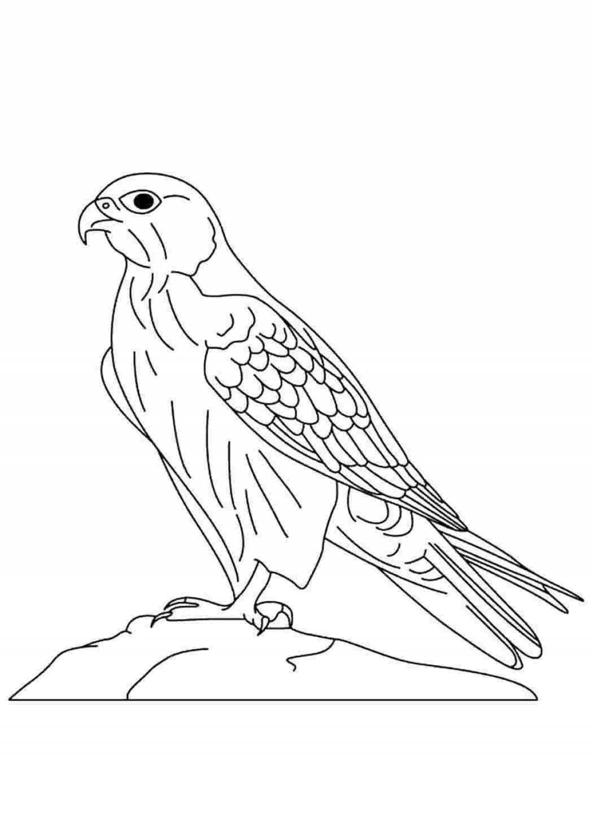 Привлекательная птица-сапсан раскраска