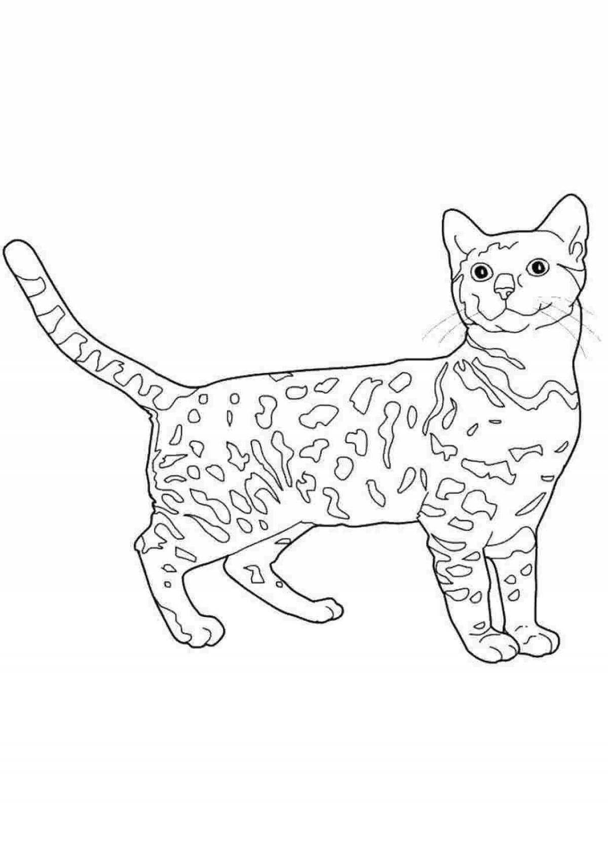 Игривая страница раскраски настоящего кота