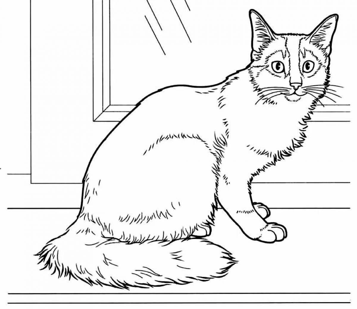 Поразительная страница раскраски настоящего кота