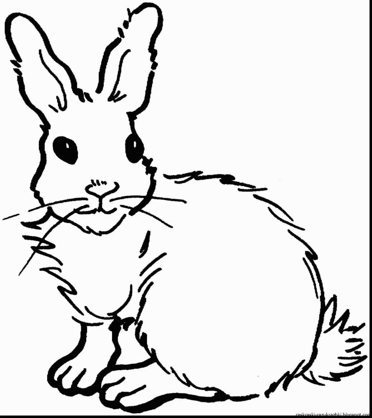 Раскраска живой заяц-кролик
