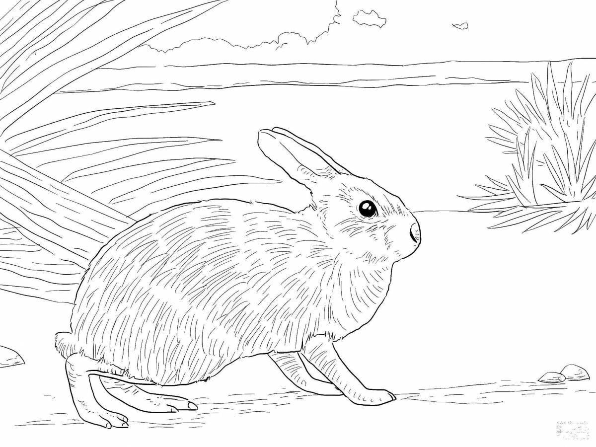 Раскраска юмористический заяц-кролик