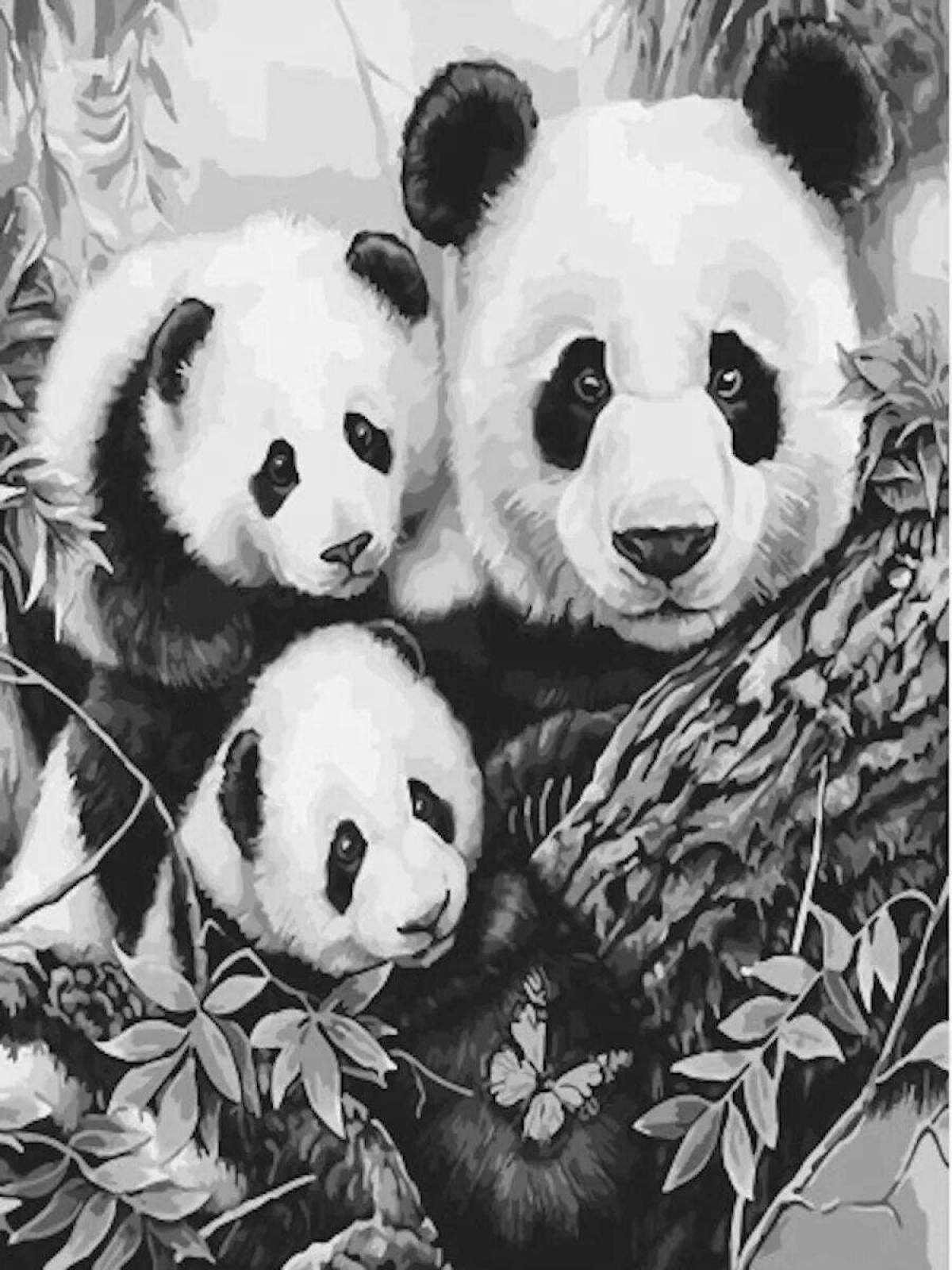 Раскраска radiant panda по номерам