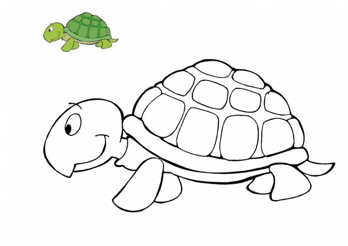 Раскраска славная черепаха
