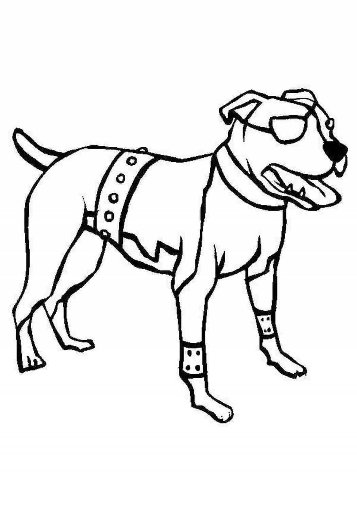 Раскраска веселая собака питбуль
