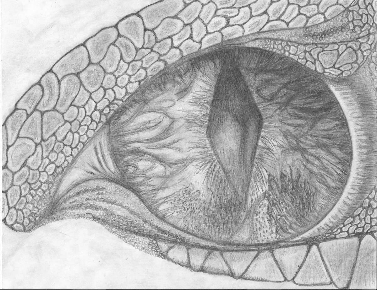 Величественная раскраска глаз дракона