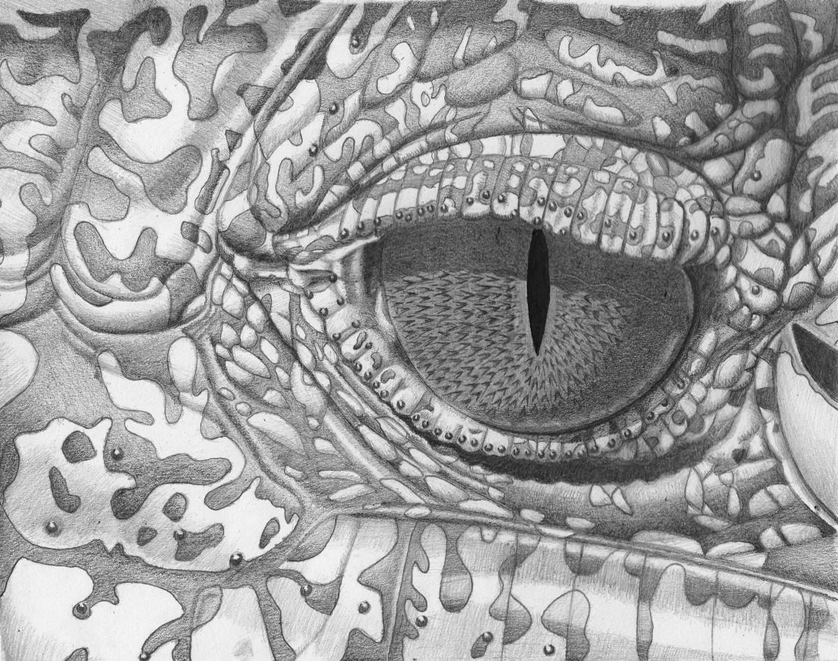 Ослепительная раскраска глаз дракона