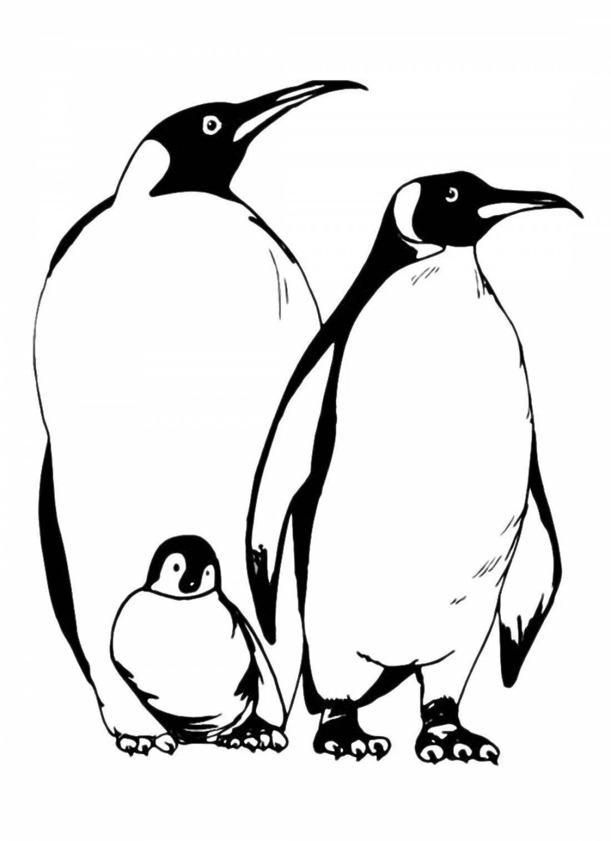 Раскраска семья озорных пингвинов