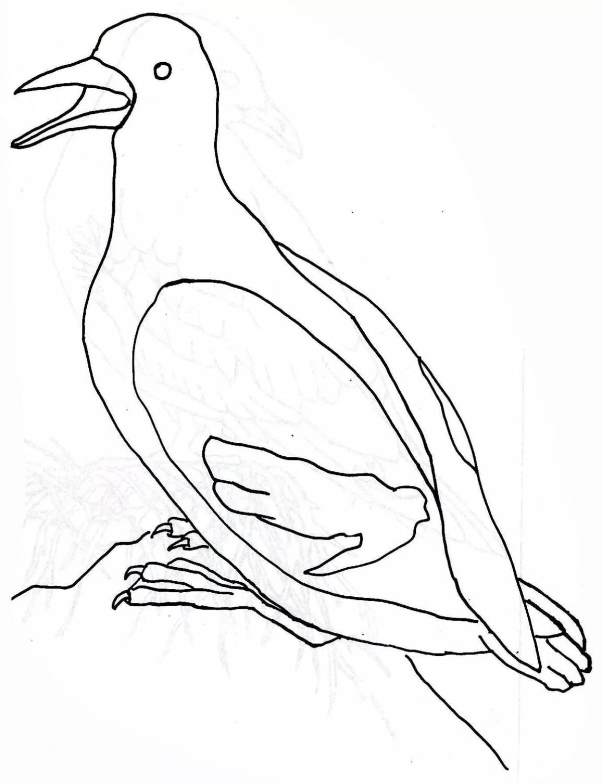 Выдающаяся страница раскраски puffin bird