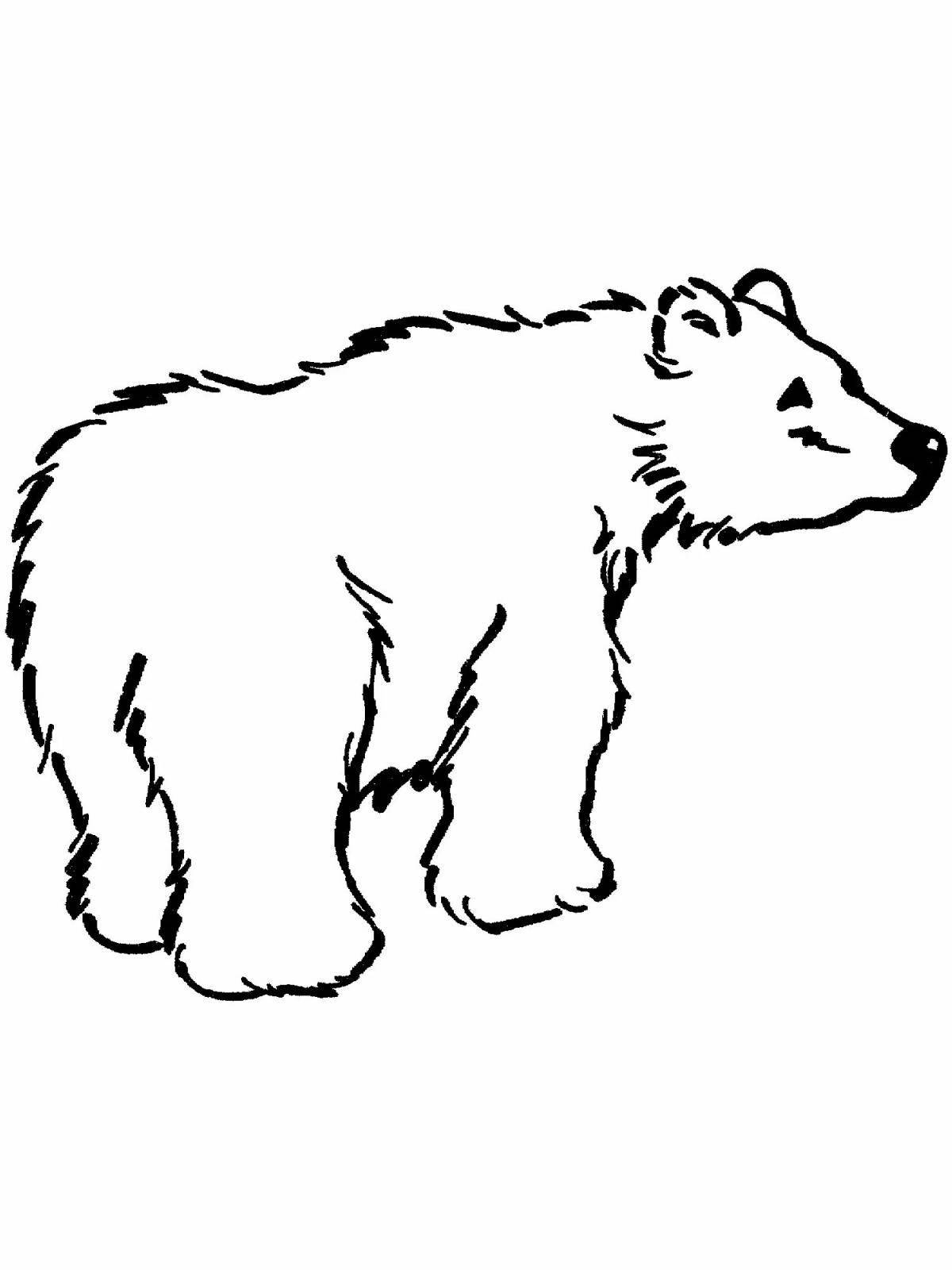 Цветная страница раскраски медведя