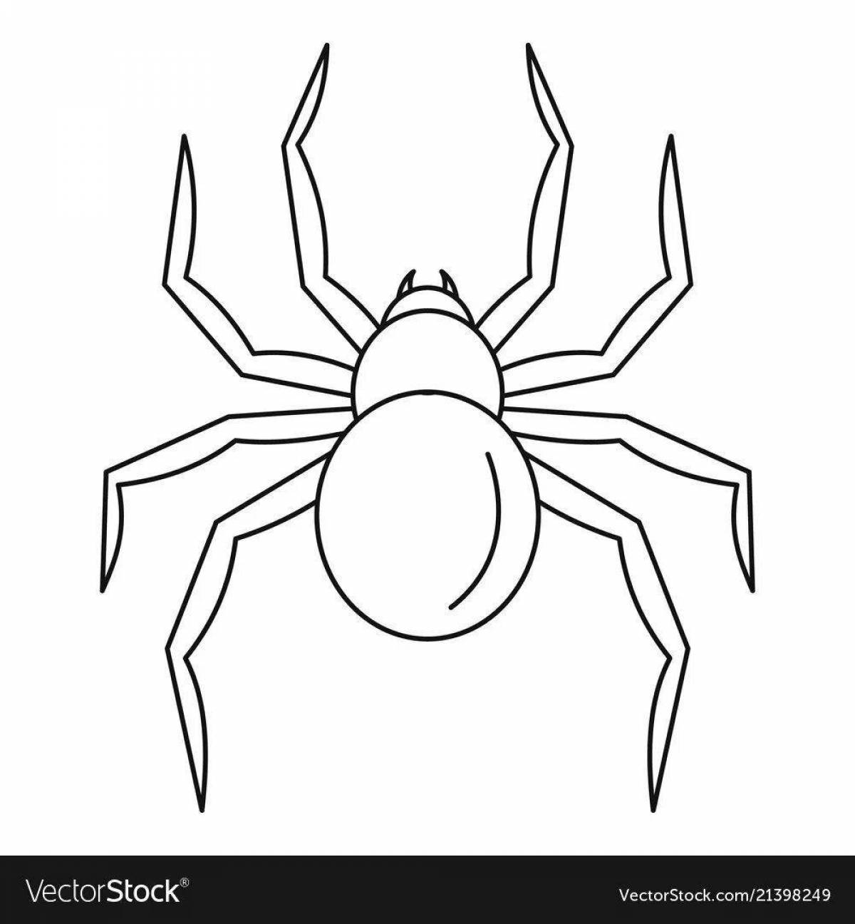 Яркая раскраска паук черная вдова