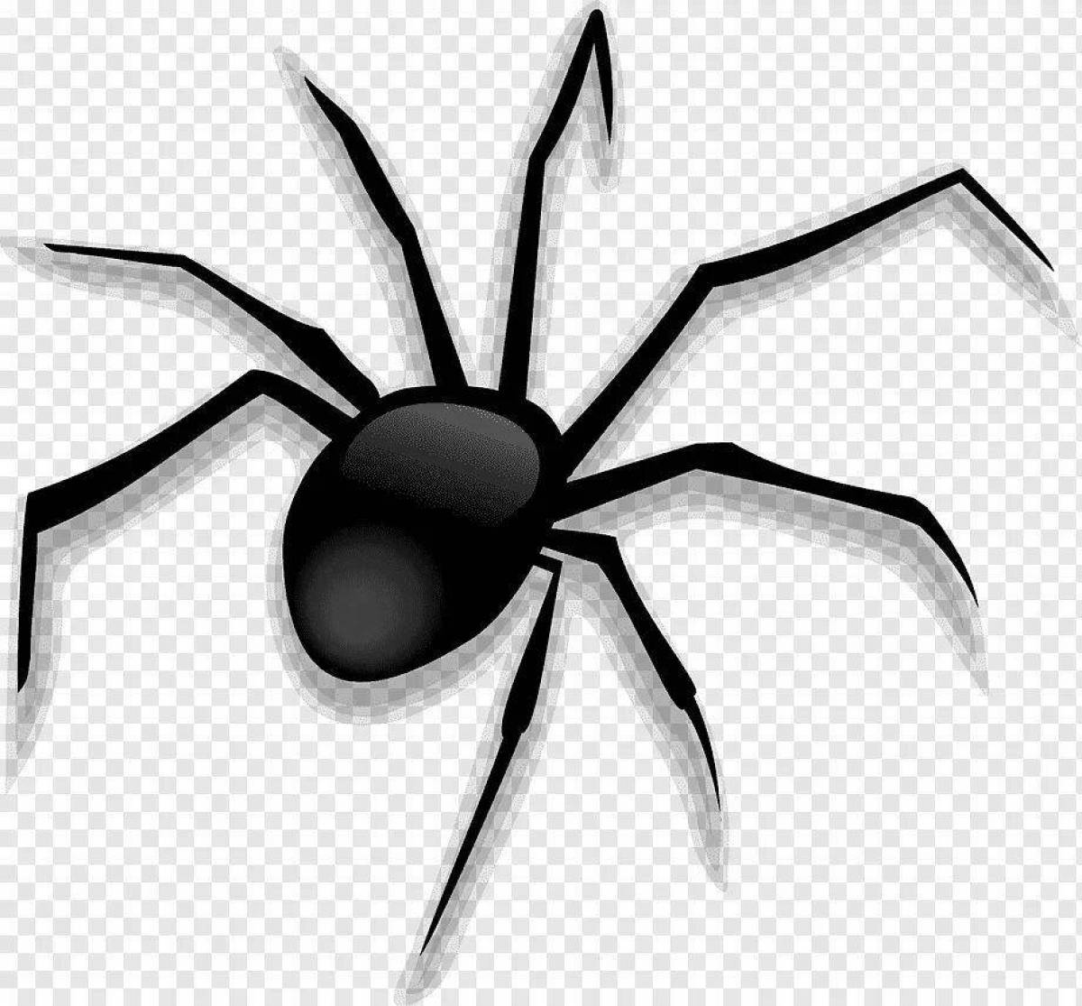 Величественный паук-раскраска черная вдова