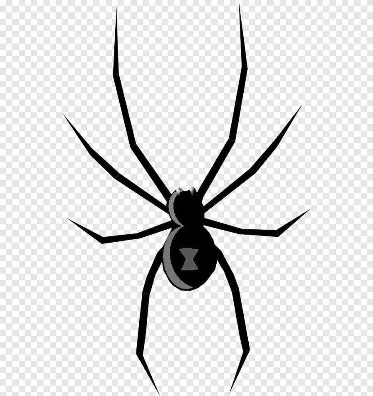 Славная раскраска черная вдова паук