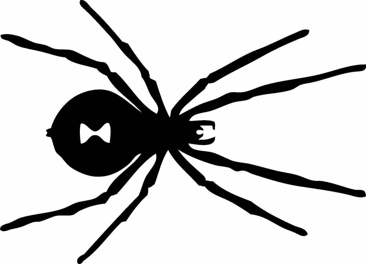 Изящный паук-раскраска черная вдова