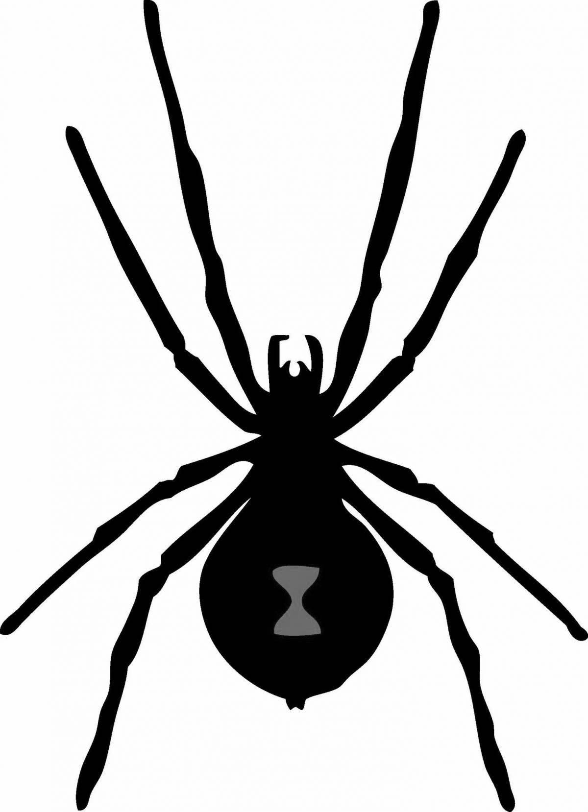 Готовая раскраска паук черная вдова