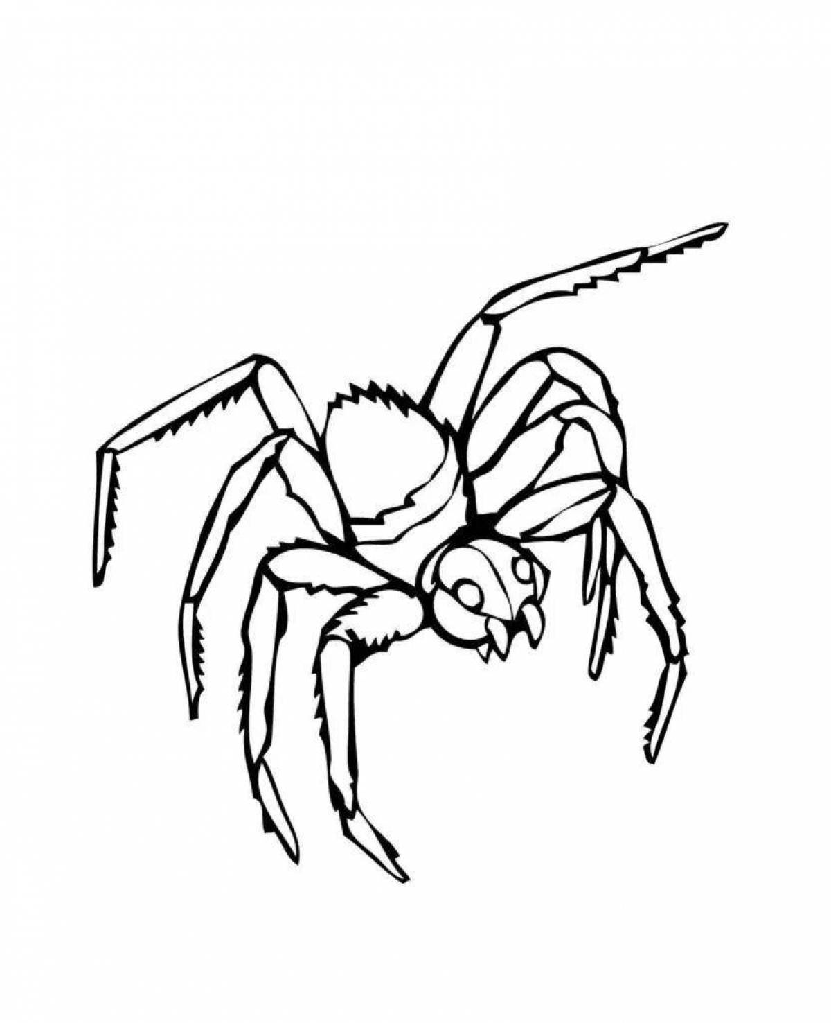 Креативная раскраска паук черная вдова