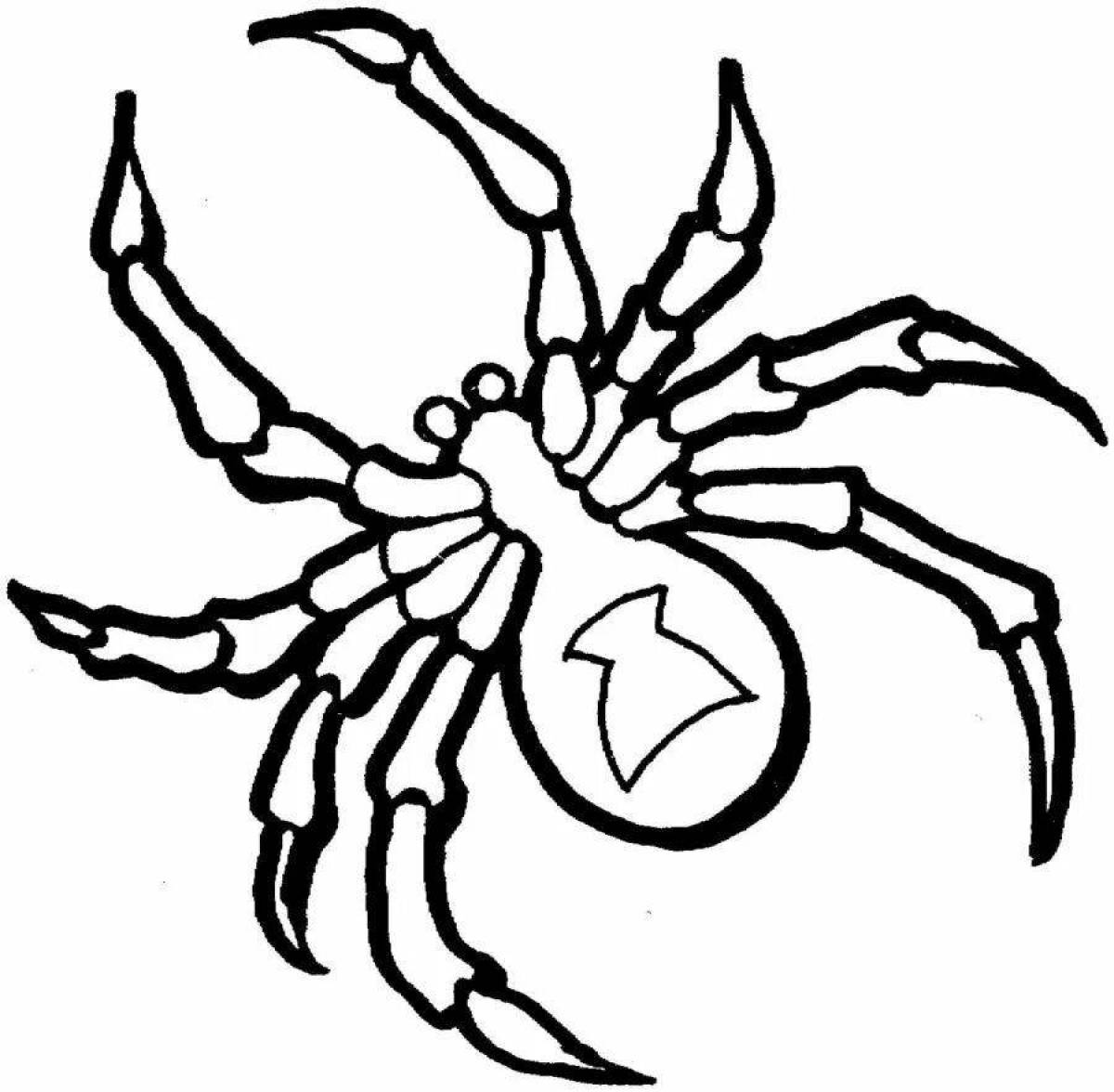 Интригующая раскраска паук черная вдова