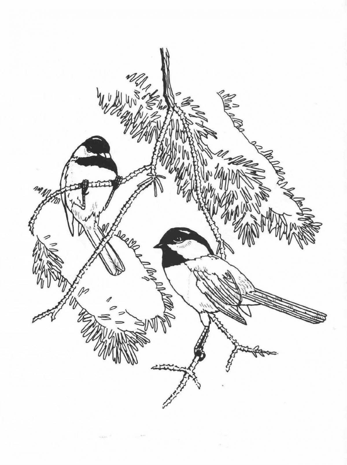 Сверкающая раскраска птицы на ветке зимой
