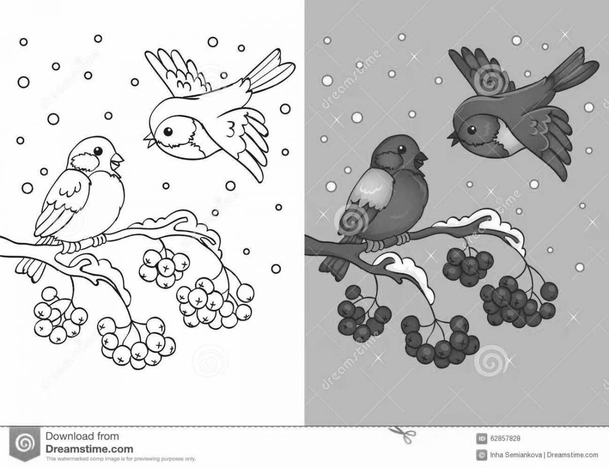 Красочная раскраска птицы на ветке зимой