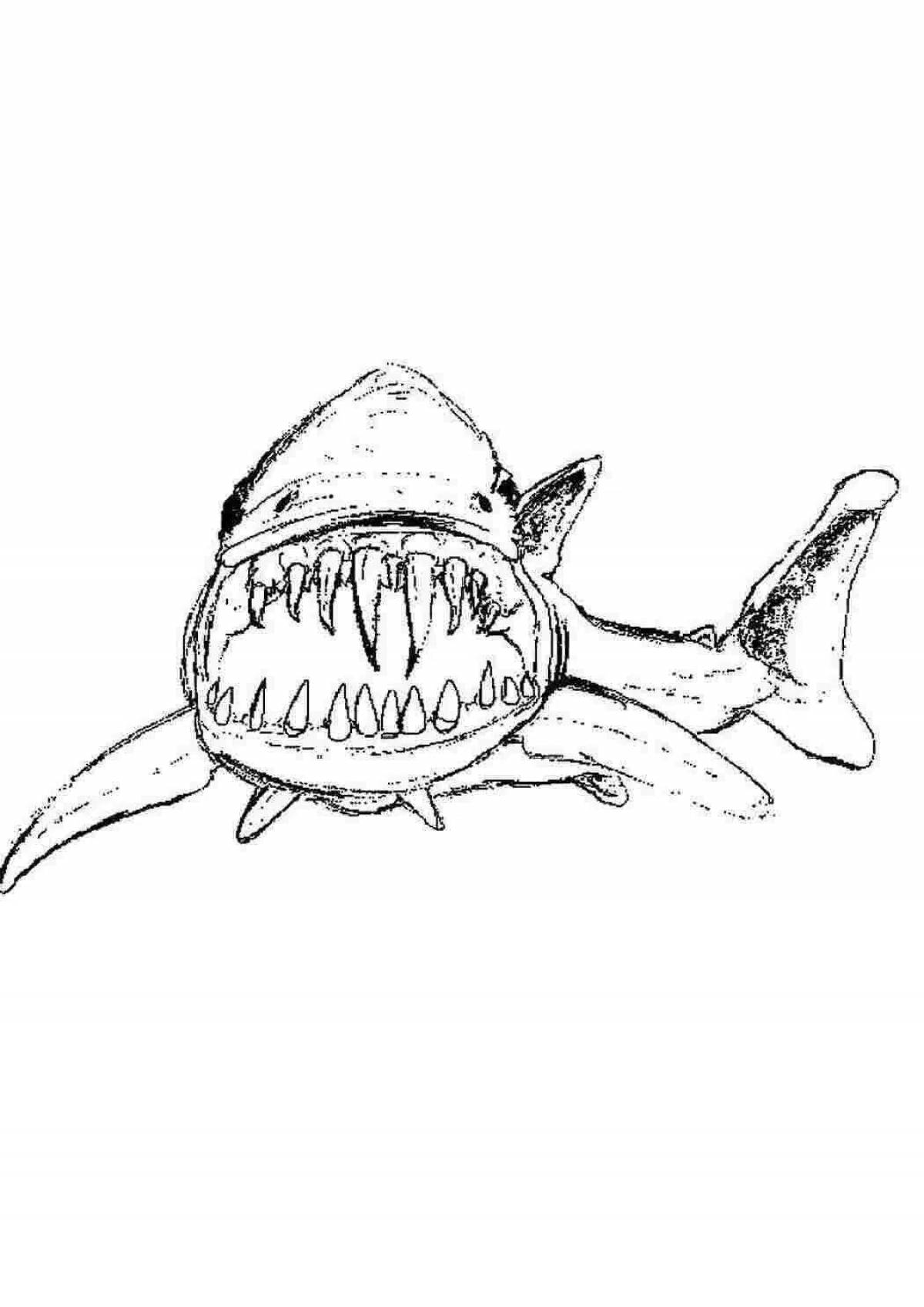 Раскраска магнитный кот в костюме акулы