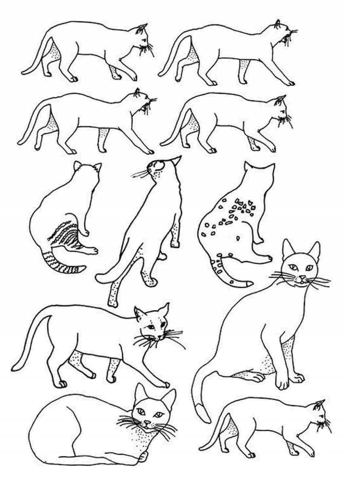 Изящные кошки-раскраски