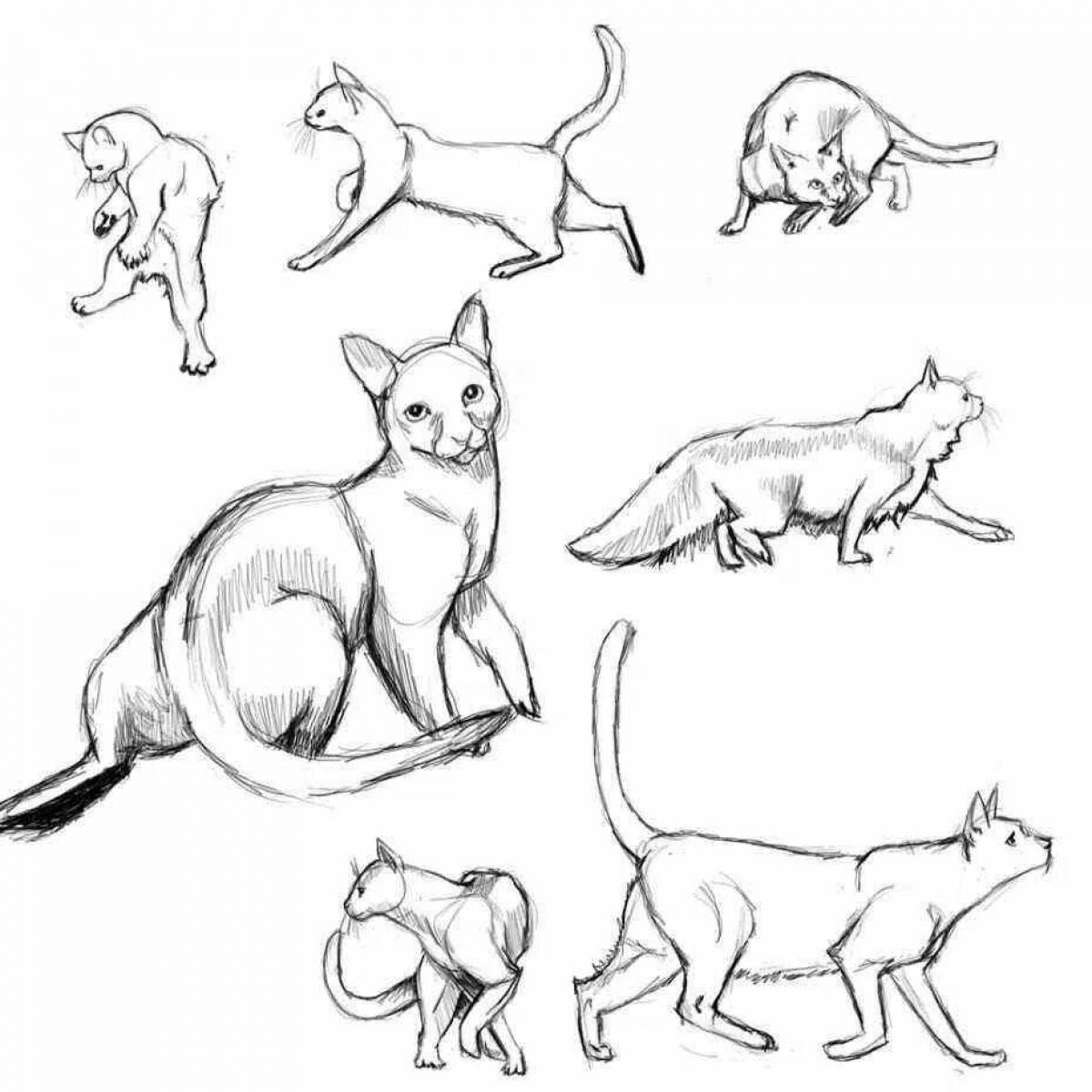 Любознательные кошки-раскраски