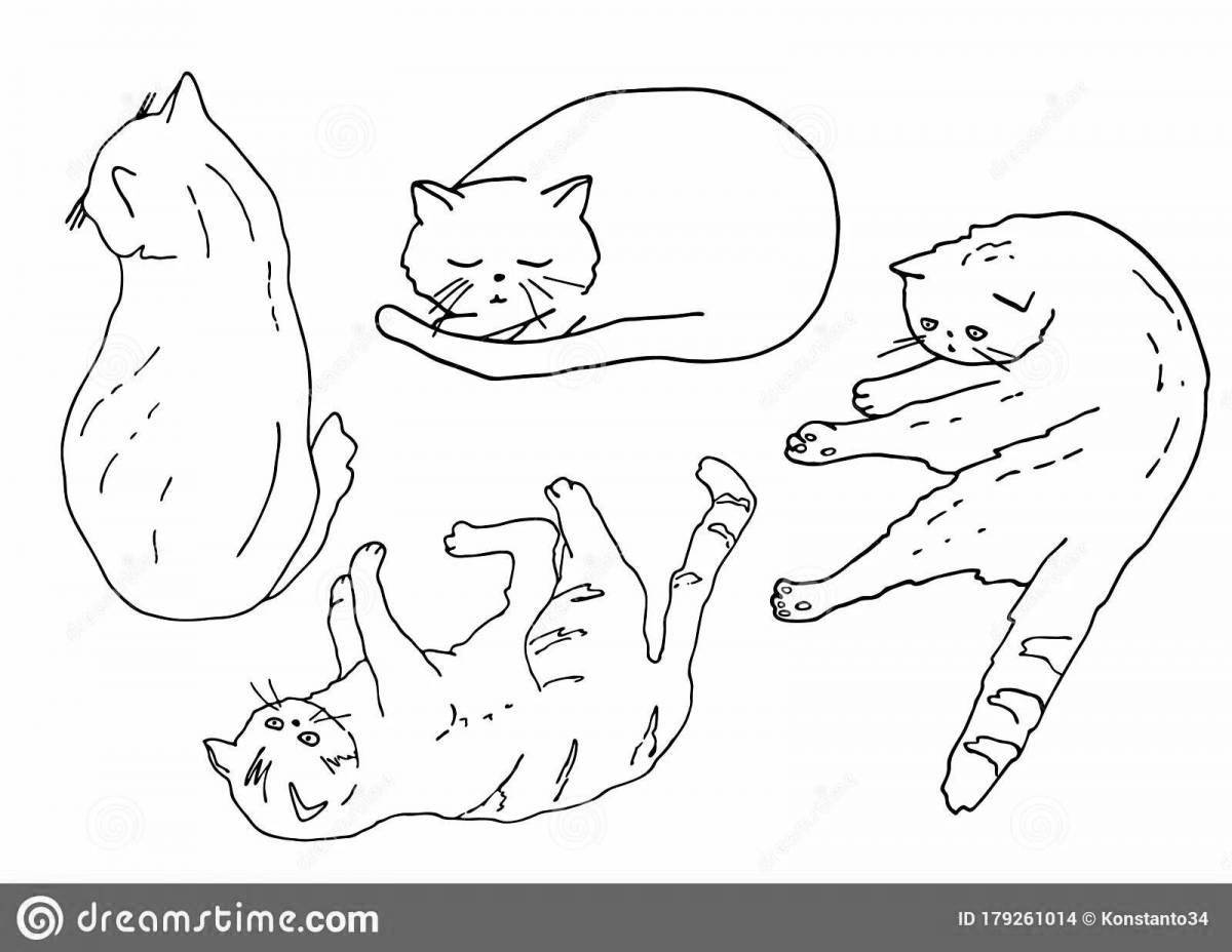 Ласковая раскраска кошки