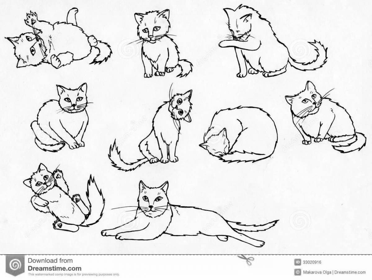 Элегантные кошки-раскраски