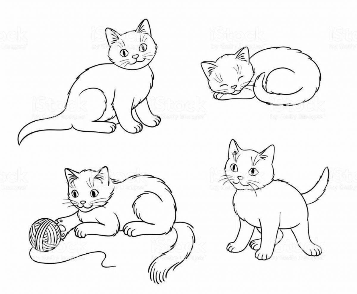 Контент раскраски кошки