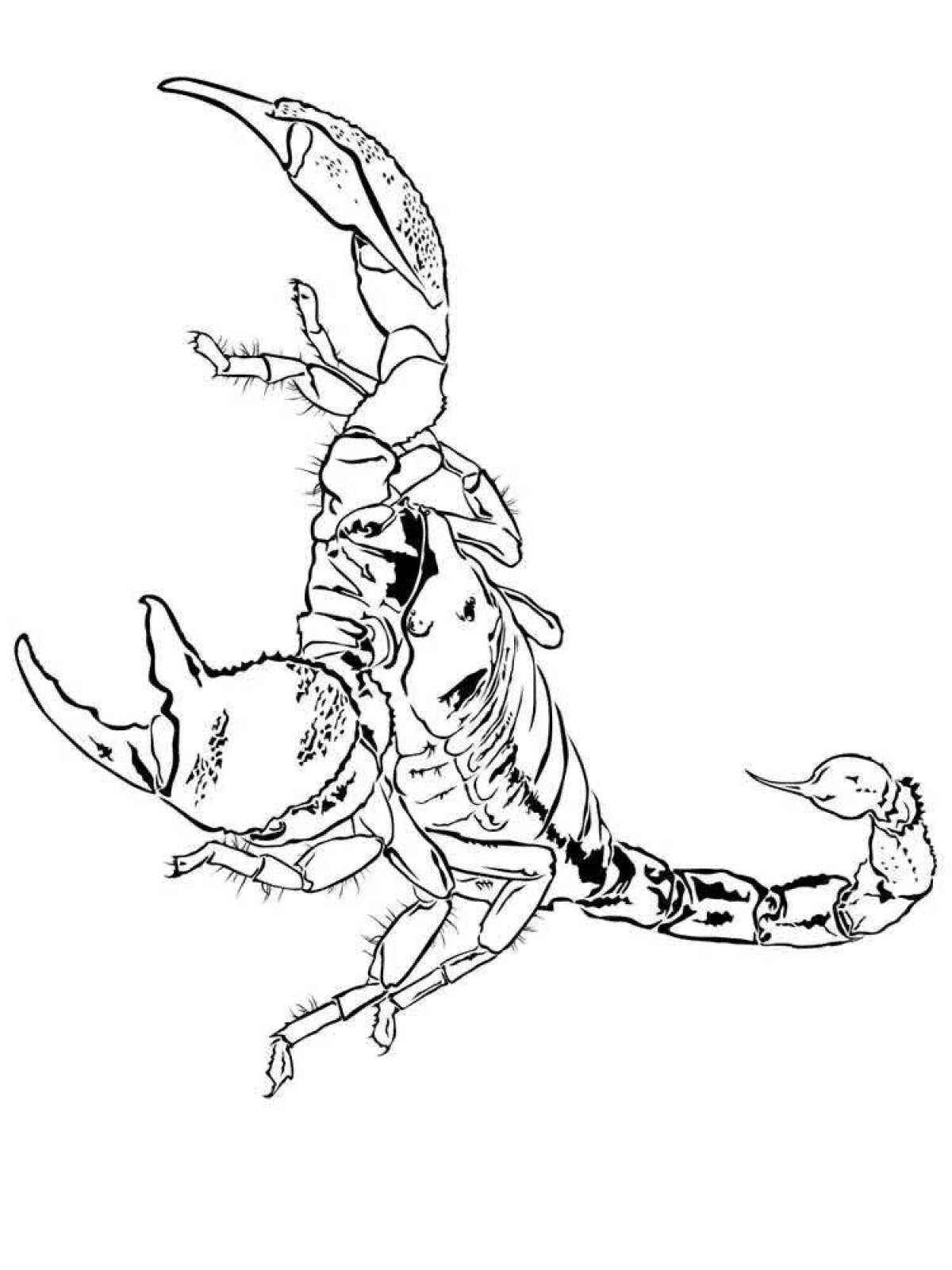 Сногсшибательная раскраска скорпион