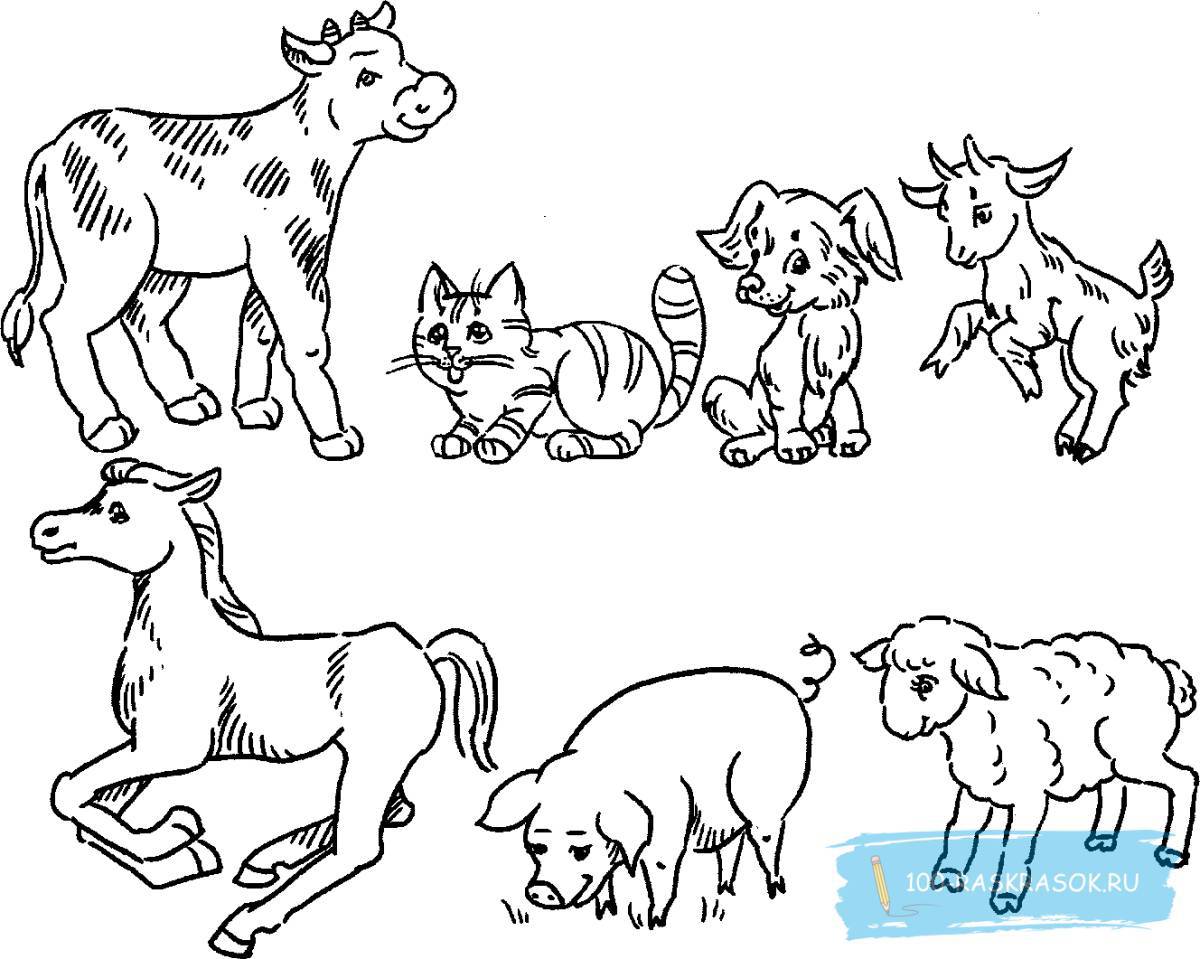 Замечательные раскраски домашних животных для детей 4-5 лет