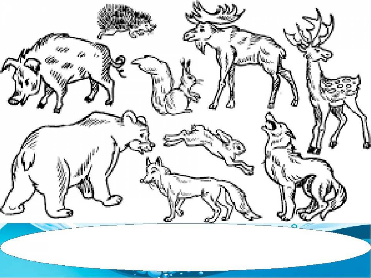 Умная страница раскраски диких животных