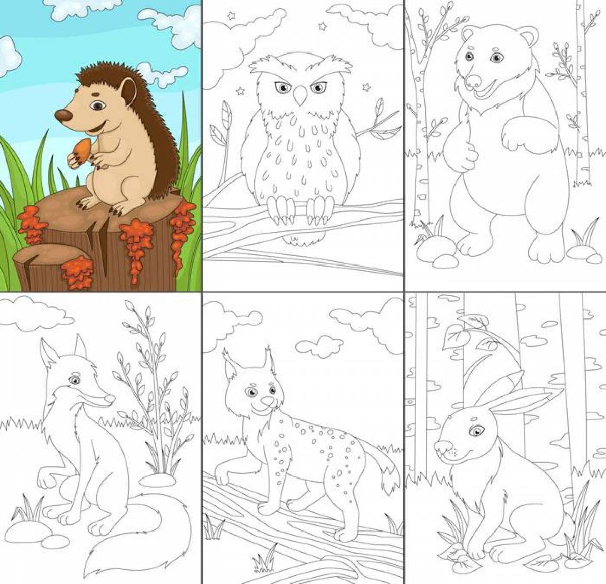 Креативная раскраска диких животных для детей 6-7 лет