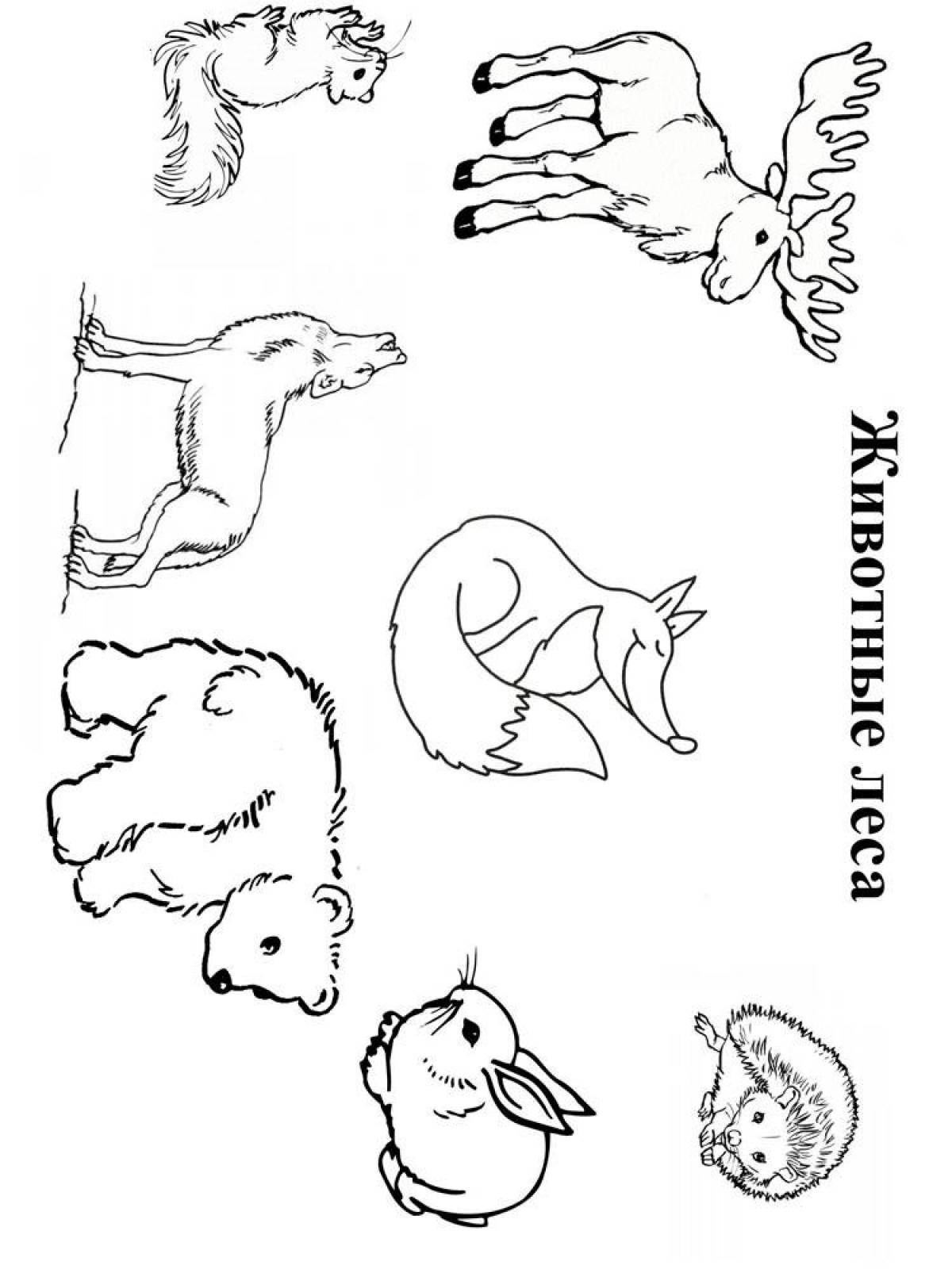 Сказочные раскраски диких животных для детей 6-7 лет