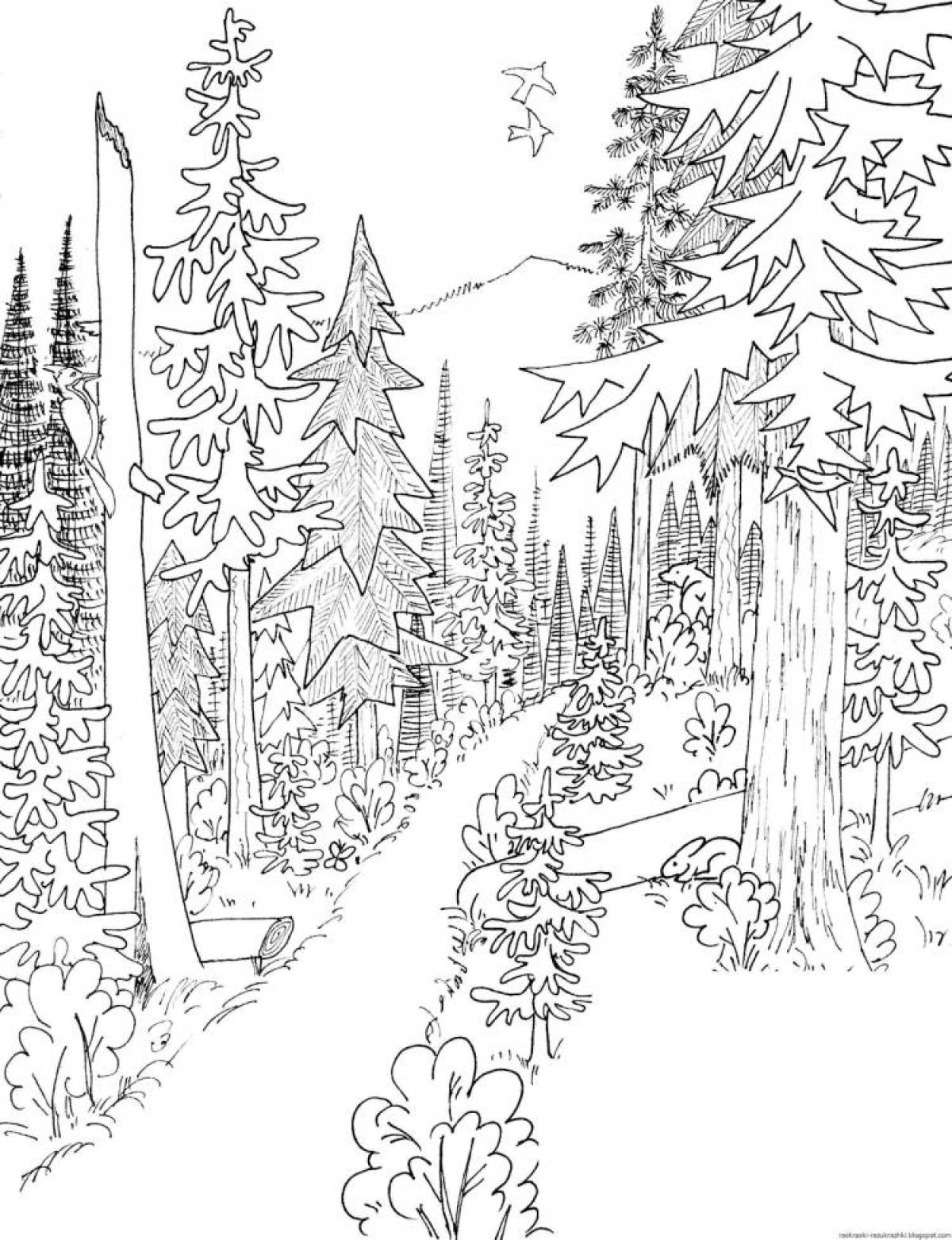Раскраска лучезарный лес для детей