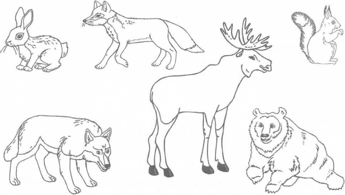 Забавная раскраска диких животных для детей 3-4 лет