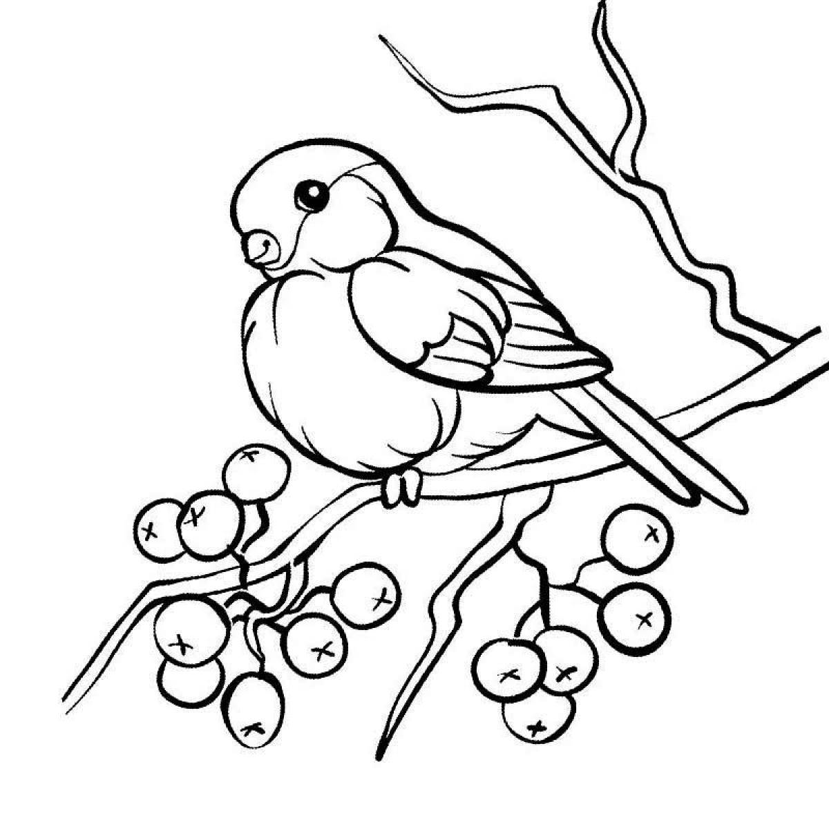 Раскраска радующихся зимующих птиц для детей 3-4 лет