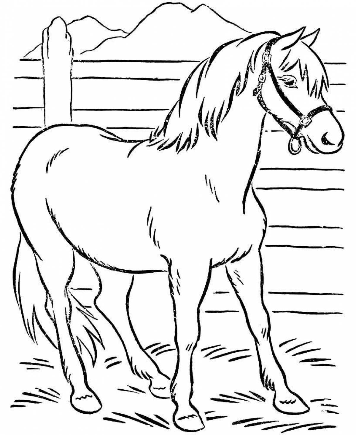 Увлекательная раскраска лошадь для детей 5-6 лет