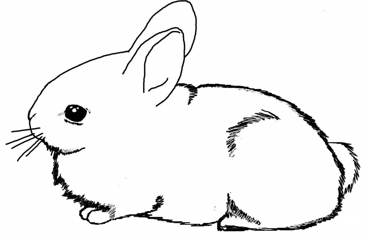 Радостный милый кролик раскраска