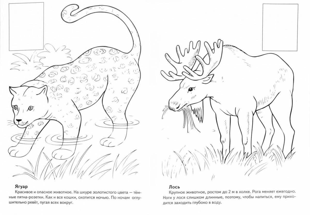 Красочная страница раскраски животных из красной книги