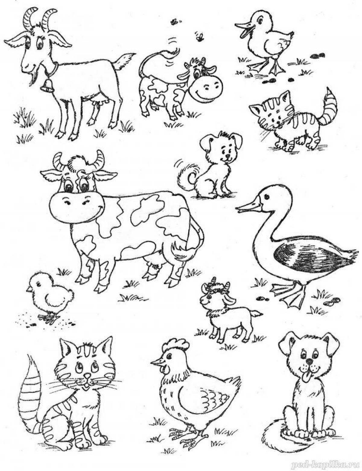 Драгоценные раскраски домашних животных и их малышей