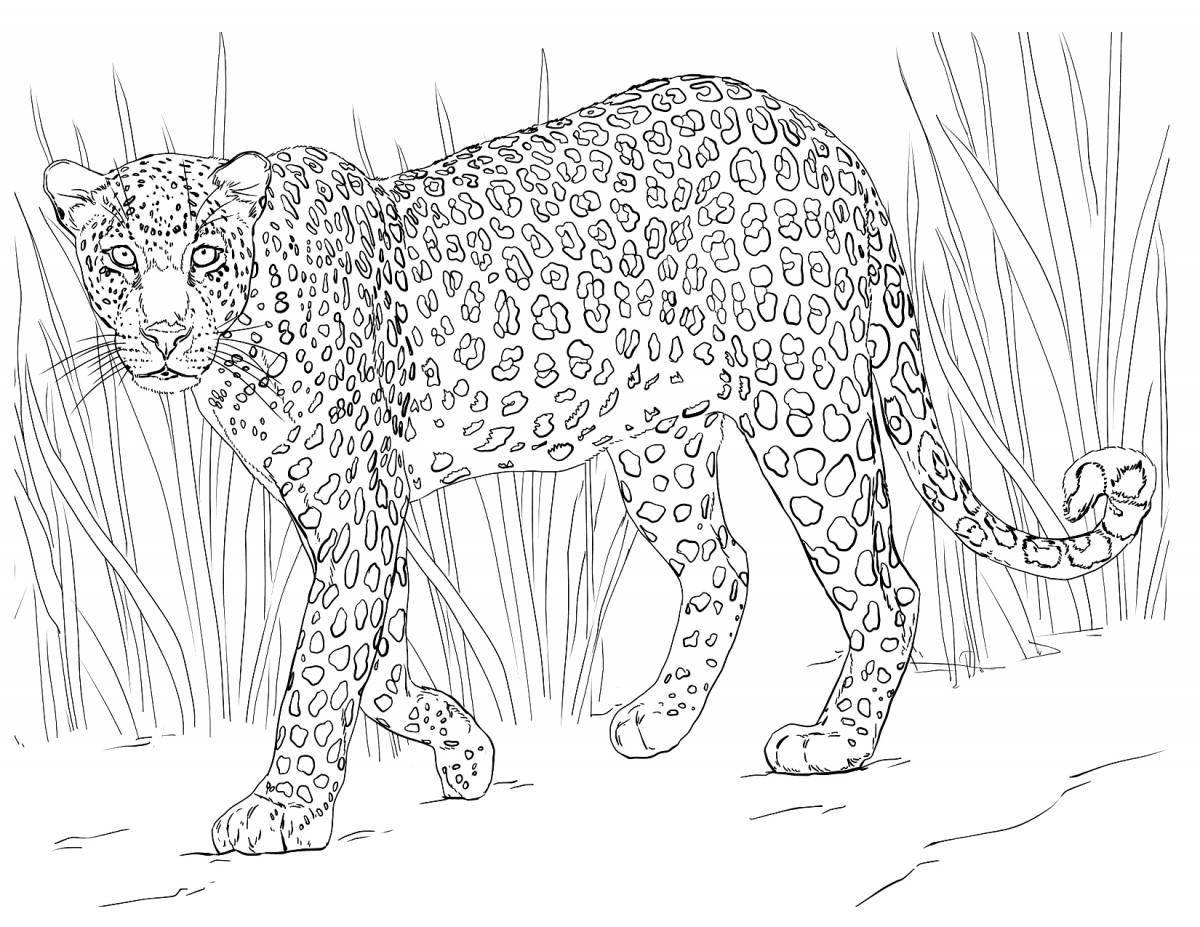 Удивительная леопардовая раскраска для детей