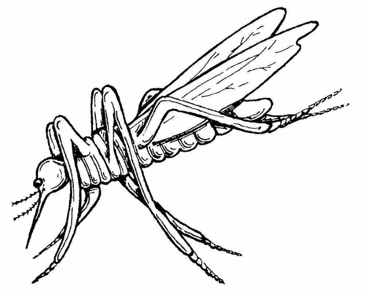 Милая страница раскраски комаров для детей