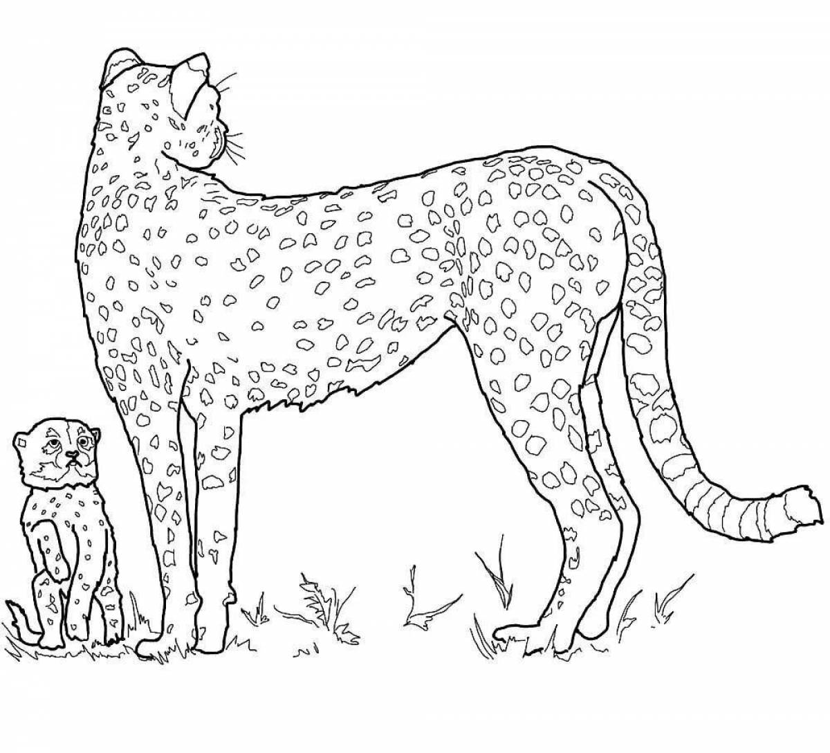 Раскраска очаровательный гепард для детей