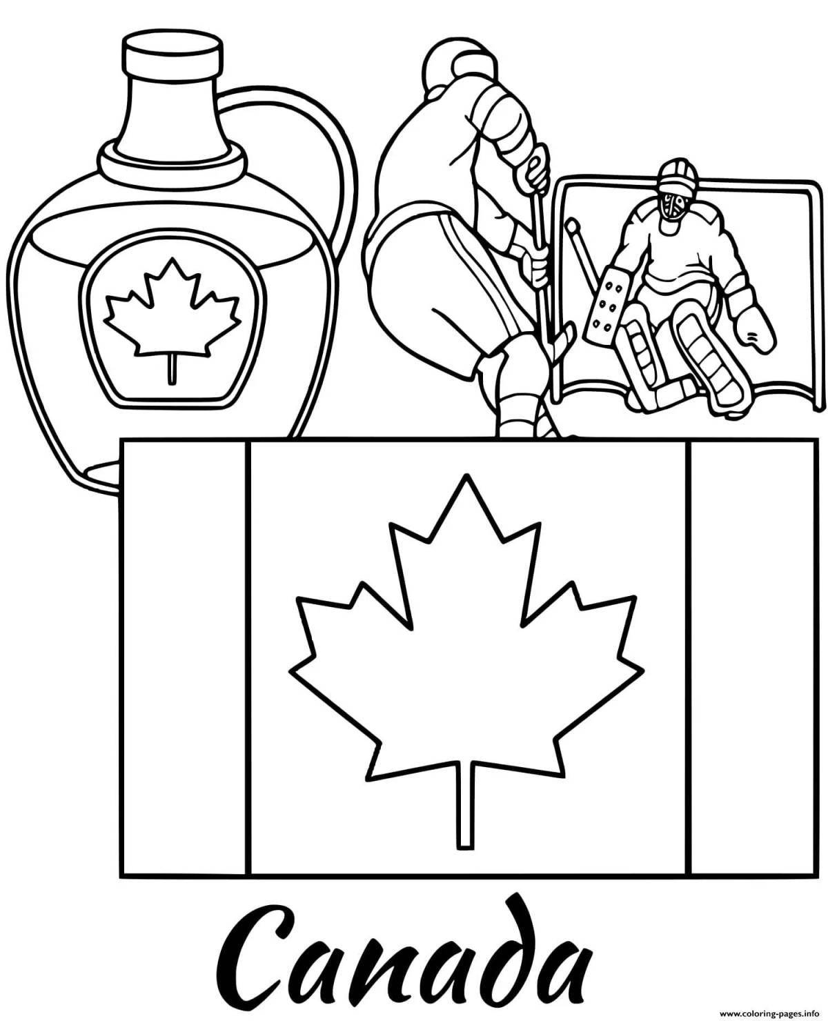 Раскраска великолепный флаг канады