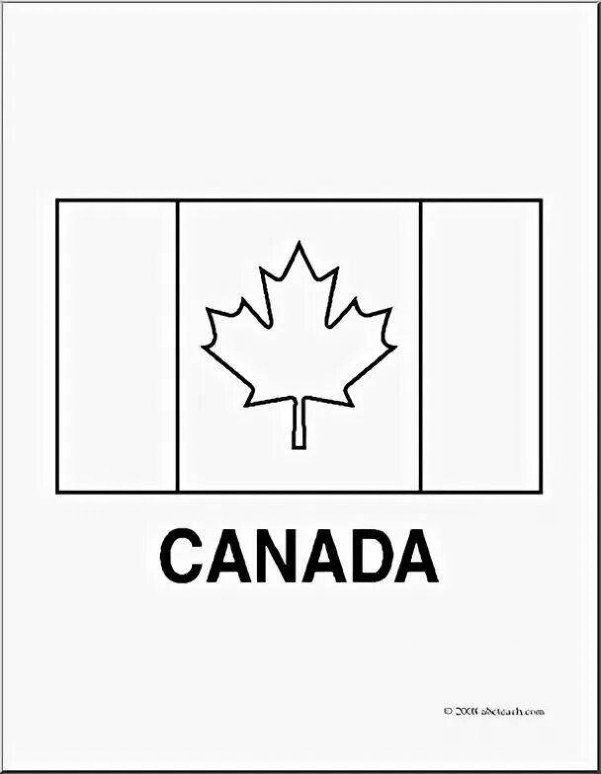 Раскраска великолепный канадский флаг