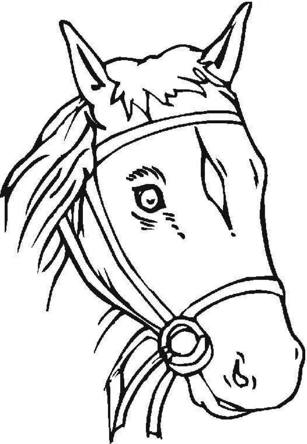 Большая раскраска голова лошади